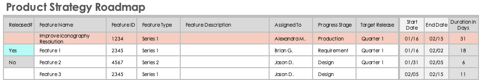 Product Strategy Roadmap Basic Info