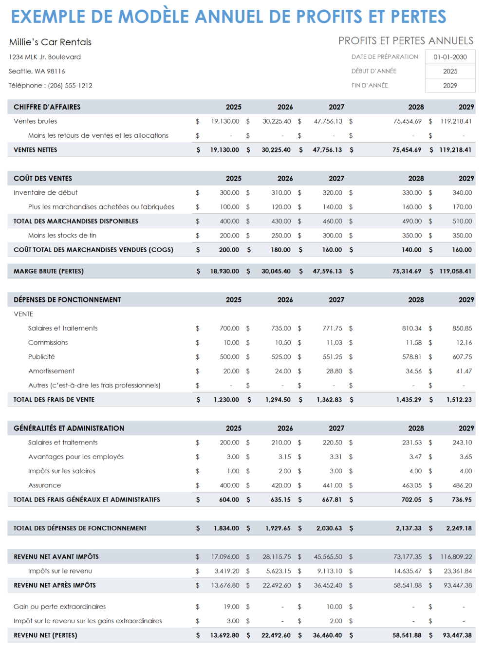 Échantillon annuel de profits et de pertes